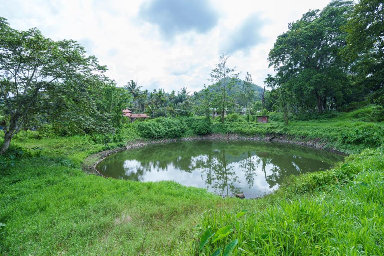 Mystic Trees, Kumily Διαμέρισμα Thekkady Εξωτερικό φωτογραφία